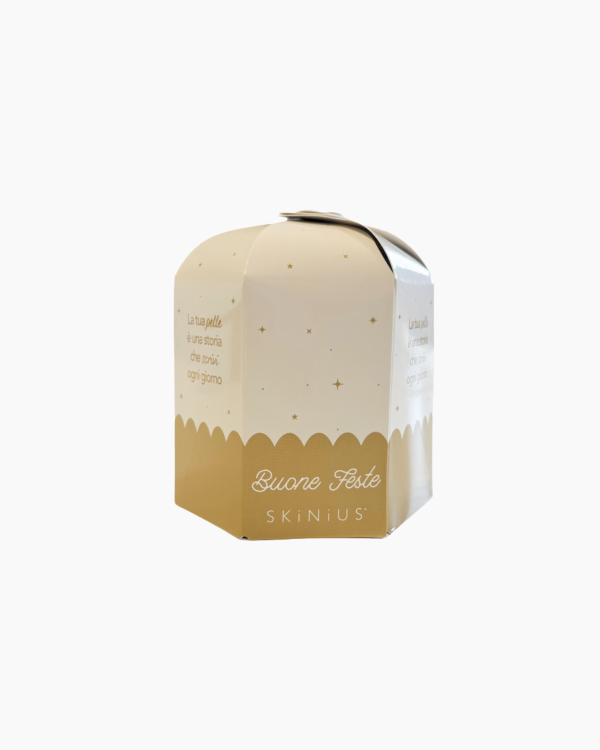 Panettone Natalizio 🎄