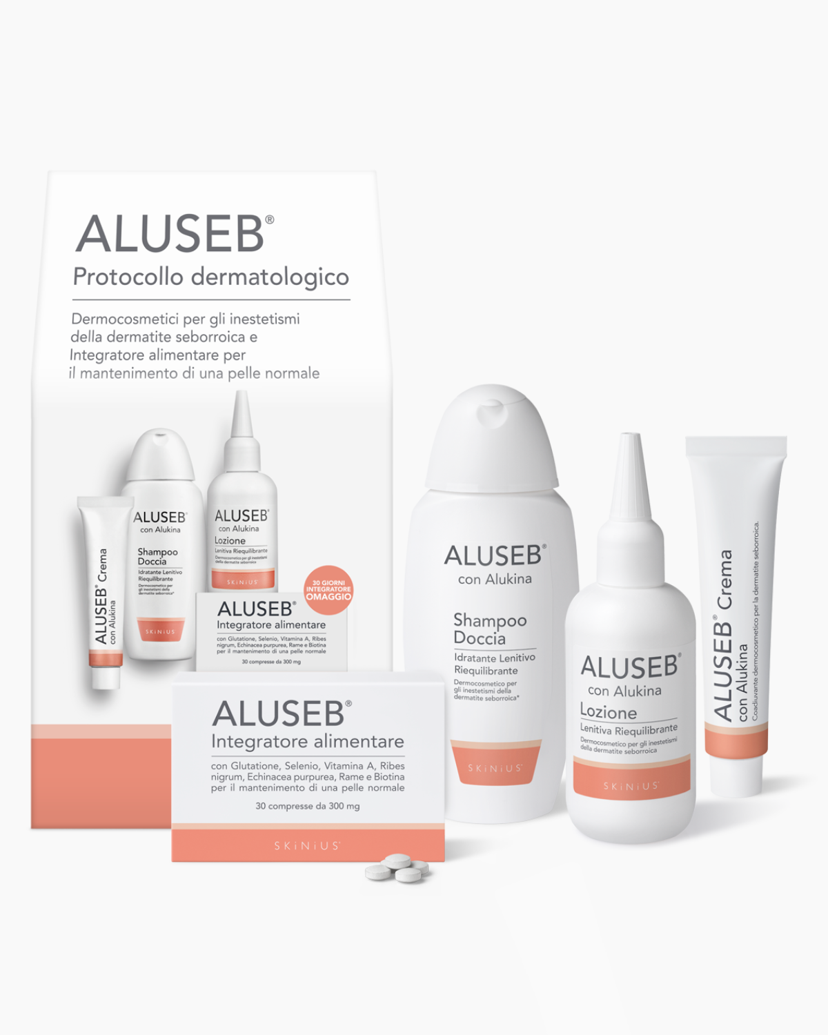 ALUSEB IN&amp;OUT Protocol